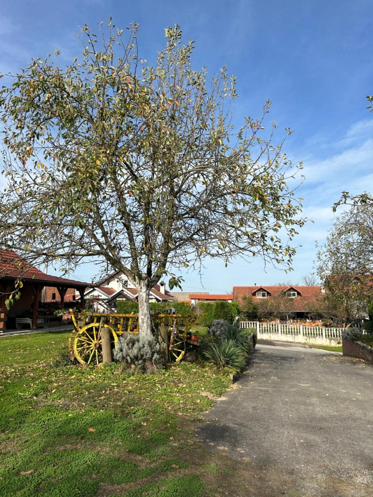 B&B Lukac Kutina Kültér fotó